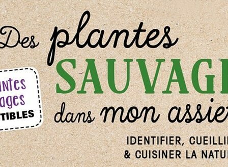 Des plantes sauvages dans mon assiette