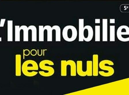 e L’immobilier pour les Nuls