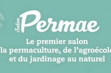 permae salon