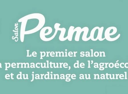 permae salon